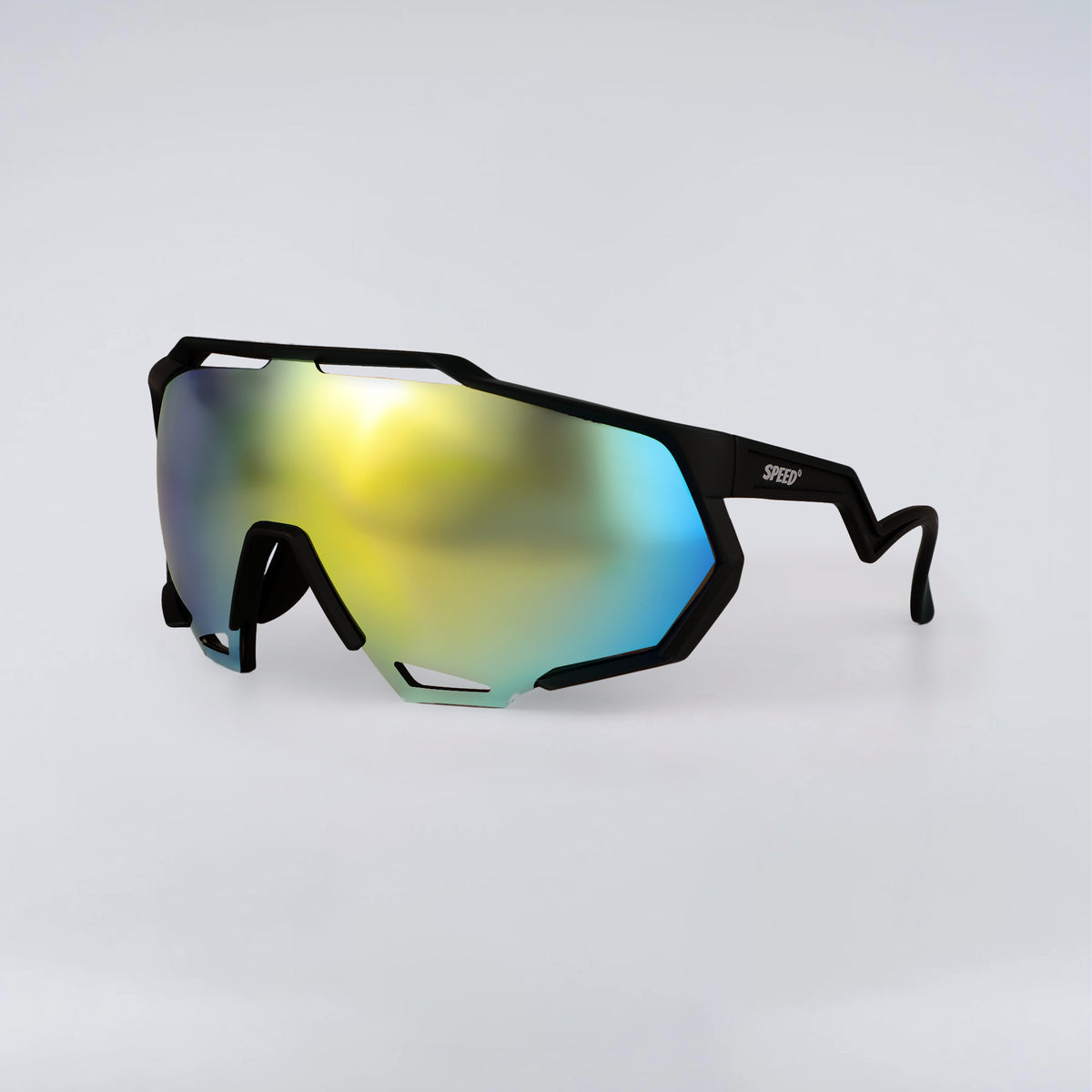 SP 201 SUNGLASSES